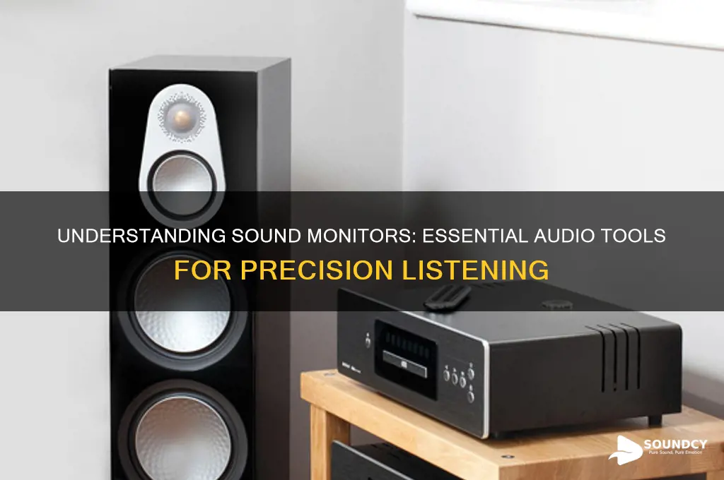 what is a sound monitor