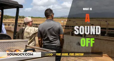 Understanding Sound Off: Military Tradition, Team Unity, and Communication