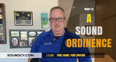 Understanding Sound Ordinances: Purpose, Enforcement, and Community Impact Explained