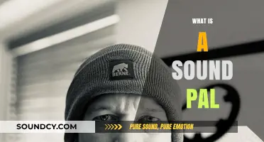 Understanding Sound Pals: A Beginner's Guide to This Audio Concept