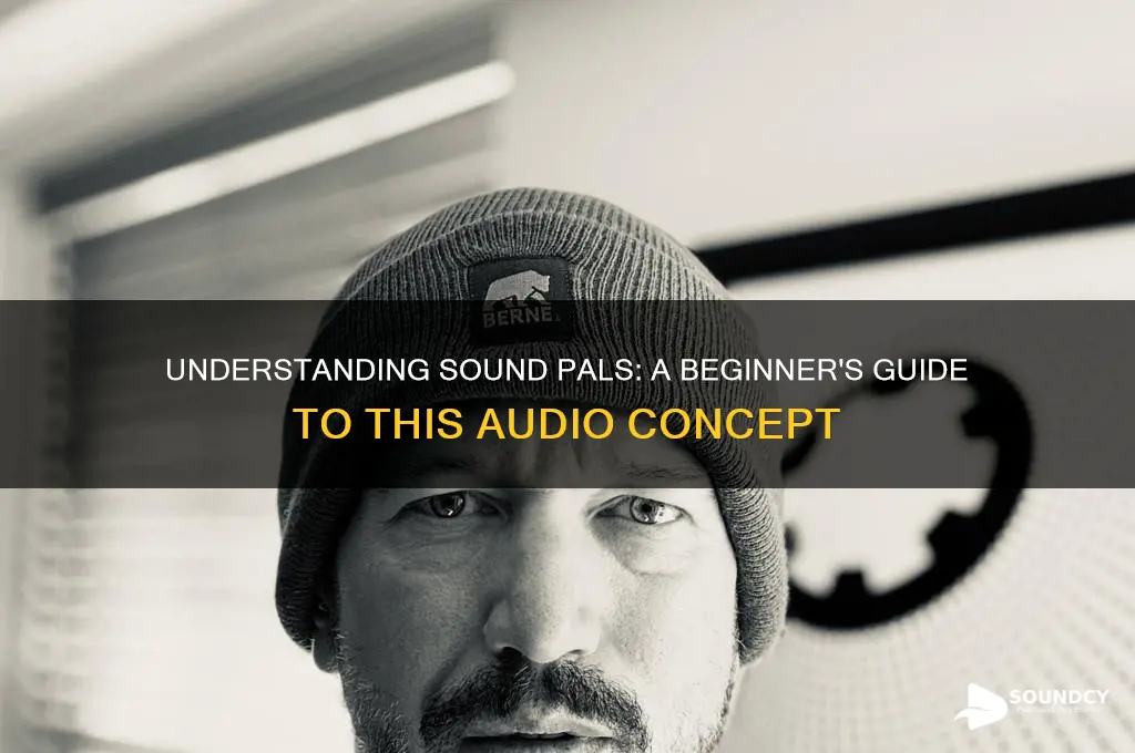 what is a sound pal