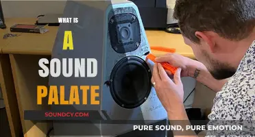 Understanding the Sound Palate: A Beginner's Guide to Audio Tones