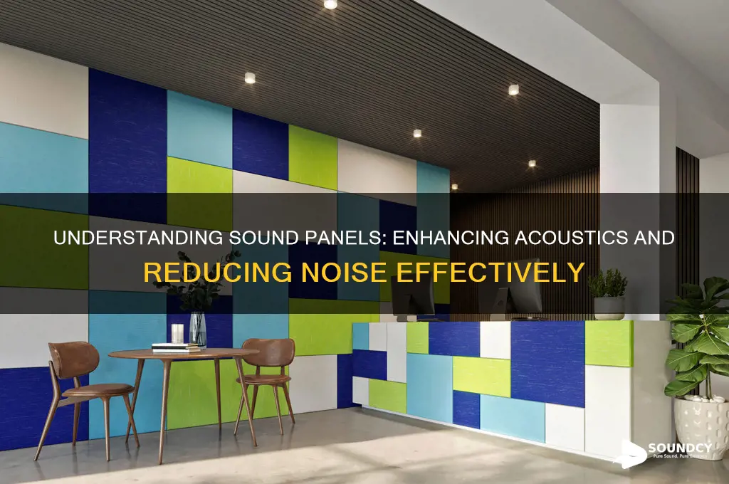 what is a sound panel