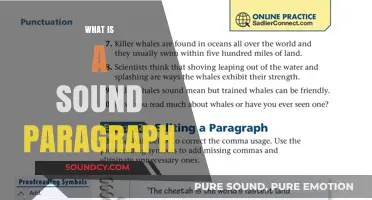 Mastering Coherent Writing: Understanding the Essence of a Sound Paragraph