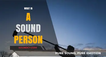 Understanding the Role and Skills of a Sound Person in Production