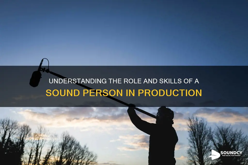 what is a sound person