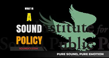 Understanding Sound Policy: Principles, Benefits, and Real-World Applications