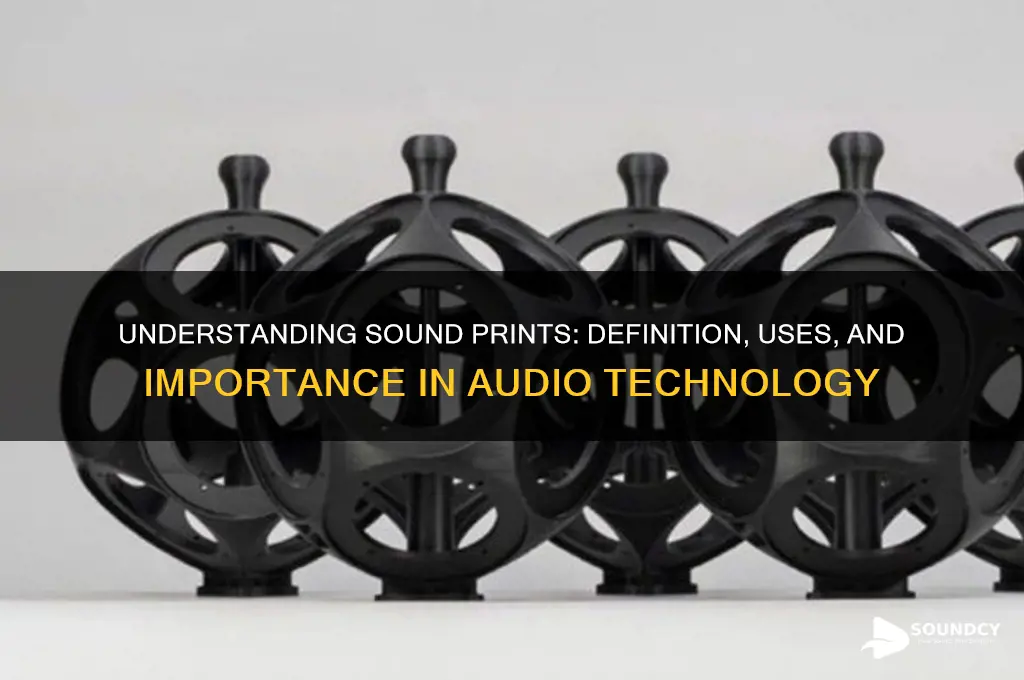 what is a sound print