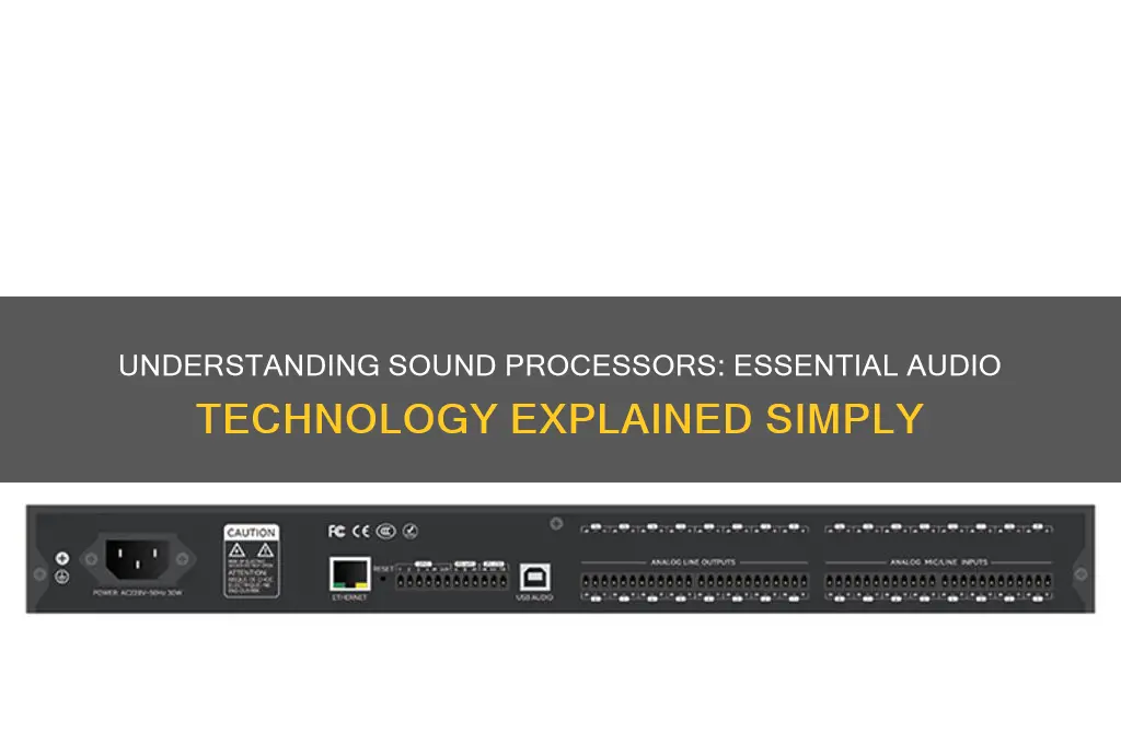 what is a sound processor