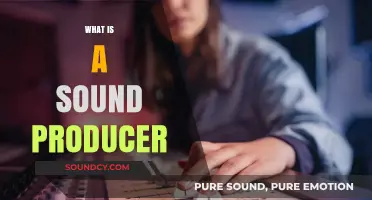 Understanding the Role of a Sound Producer in Music Creation