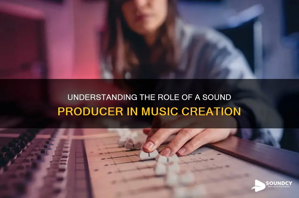 what is a sound producer