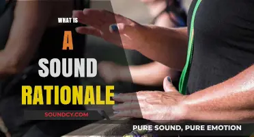 Understanding Sound Rationale: A Clear Guide to Logical Decision-Making