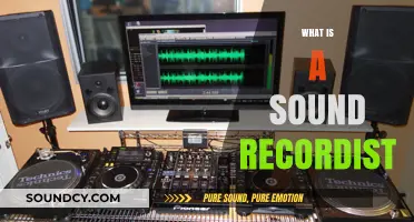 Unveiling the Role of a Sound Recordist in Audio Production