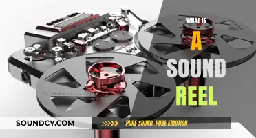 Understanding Sound Reels: Essential Tools for Audio Storytelling and Production