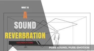 Understanding Sound Reverberation: Definition, Causes, and Effects Explained