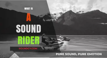 Understanding the Role and Responsibilities of a Sound Rider