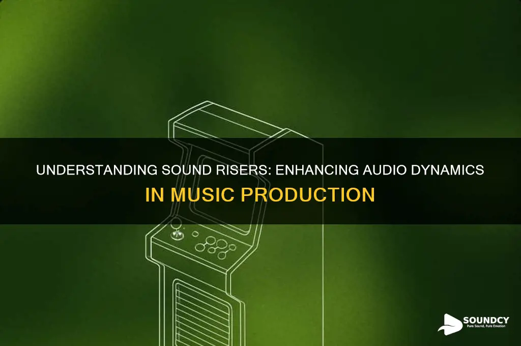 what is a sound riser