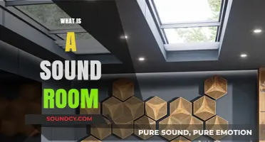 Exploring Sound Rooms: Purpose, Design, and Benefits for Audio Clarity