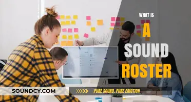 Understanding Sound Rosters: A Comprehensive Guide to Effective Team Management