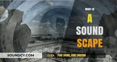 Exploring Soundscapes: Understanding the Art of Sonic Environments