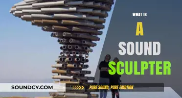 Exploring the Art of Sound Sculpting: What is a Sound Sculptor?