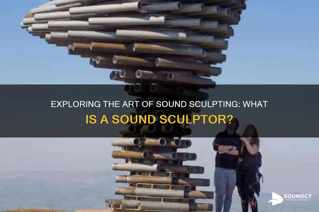 what is a sound sculpter
