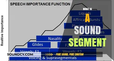 Understanding Sound Segments: The Building Blocks of Speech and Language