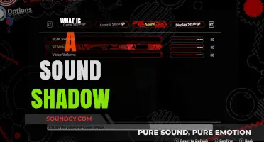 Understanding Sound Shadows: Causes, Effects, and Real-World Applications