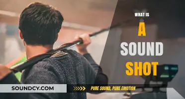 Understanding Sound Shots: A Creative Audio-Visual Technique Explained