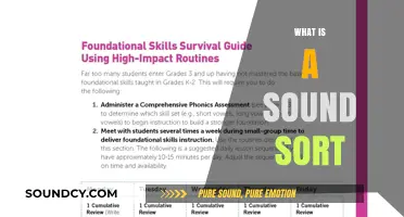 Understanding Sound Sort: A Beginner's Guide to Sorting Sounds