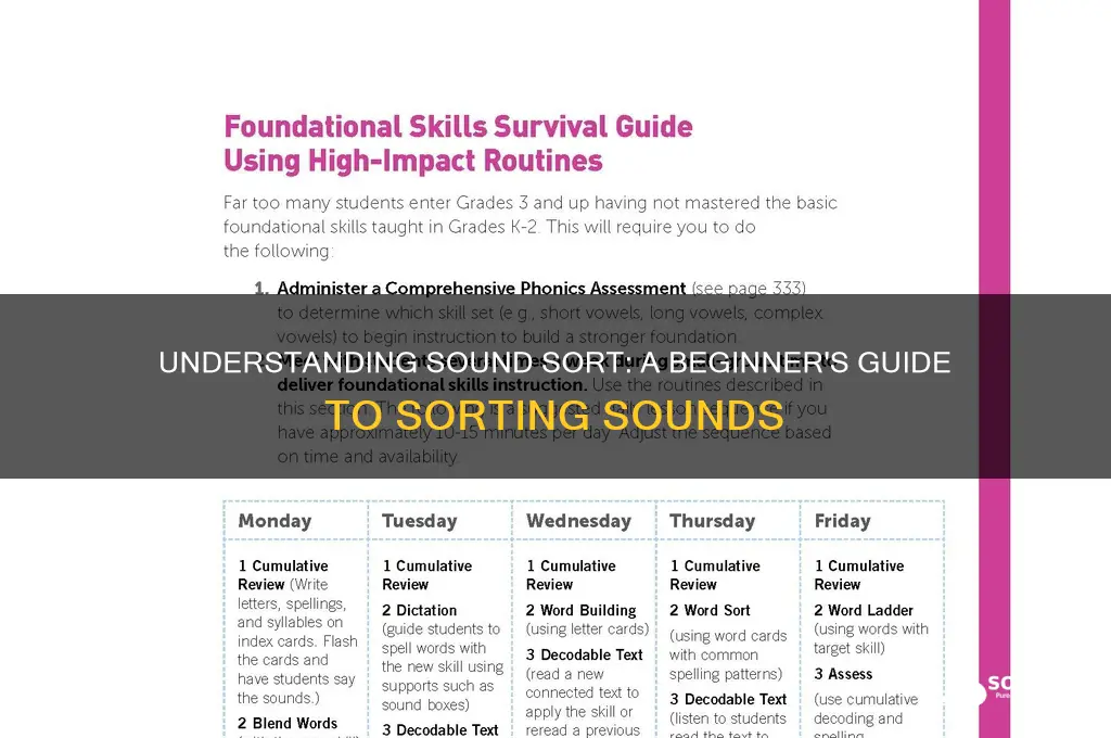 what is a sound sort