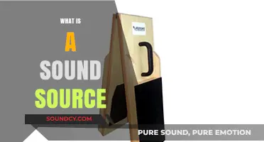 Understanding Sound Sources: Origins, Types, and How They Produce Audio