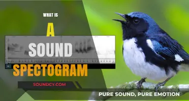 Understanding Sound Spectrograms: Visualizing Audio Frequencies and Patterns