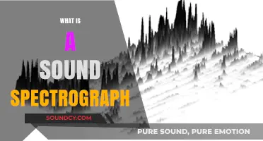 Understanding Sound Spectrographs: Visualizing Audio Frequencies and Patterns