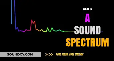 Understanding Sound Spectrum: Visualizing Audio Frequencies and Their Impact