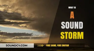 Unveiling the Phenomenon: Understanding the Power of a Sound Storm