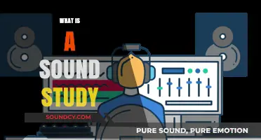 Exploring Sound Study: Understanding Its Purpose, Methods, and Applications