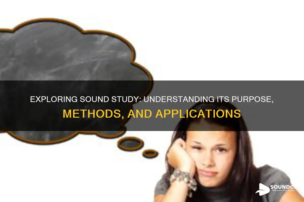 what is a sound study