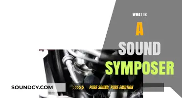 Understanding Sound Symposers: Enhancing Vehicle Engine Notes Explained
