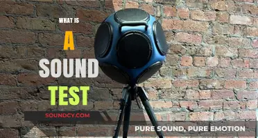 Understanding Sound Tests: Purpose, Process, and Importance Explained