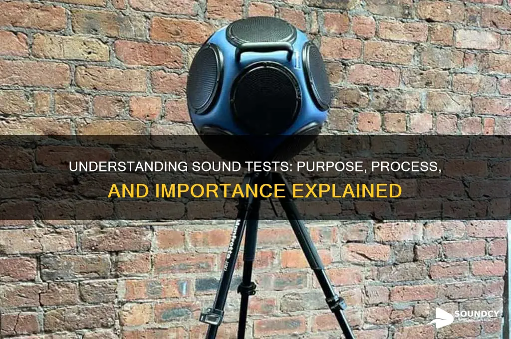 what is a sound test