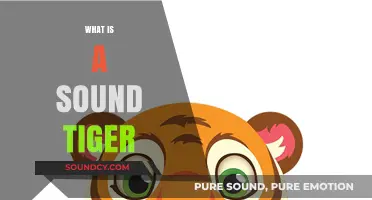 Unveiling the Mystery: What is a Sound Tiger?