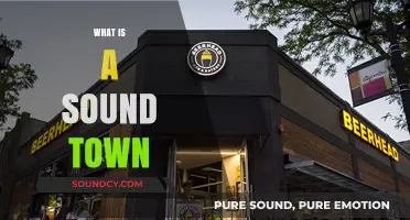Exploring the Concept of a Sound Town: Definition, Benefits, and Examples