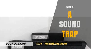 Understanding Sound Traps: How They Control and Absorb Unwanted Noise