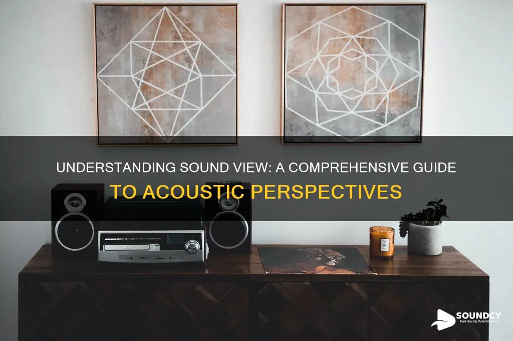 what is a sound view