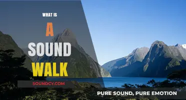 Exploring Sound Walks: An Immersive Auditory Adventure in Nature