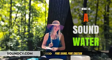 Understanding Sound Water: Definition, Importance, and Sustainable Practices