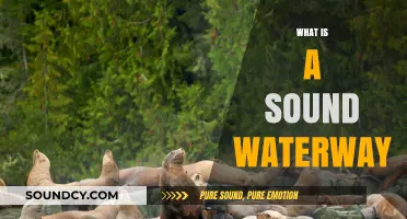 Understanding Sound Waterways: Definition, Importance, and Environmental Impact