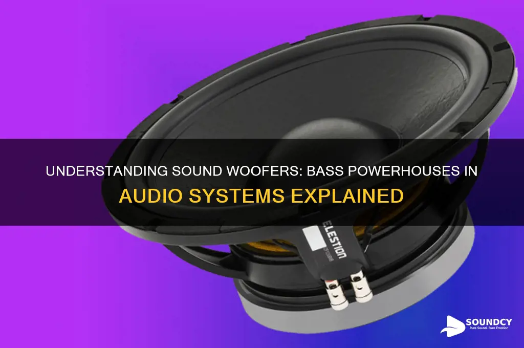 what is a sound woofer