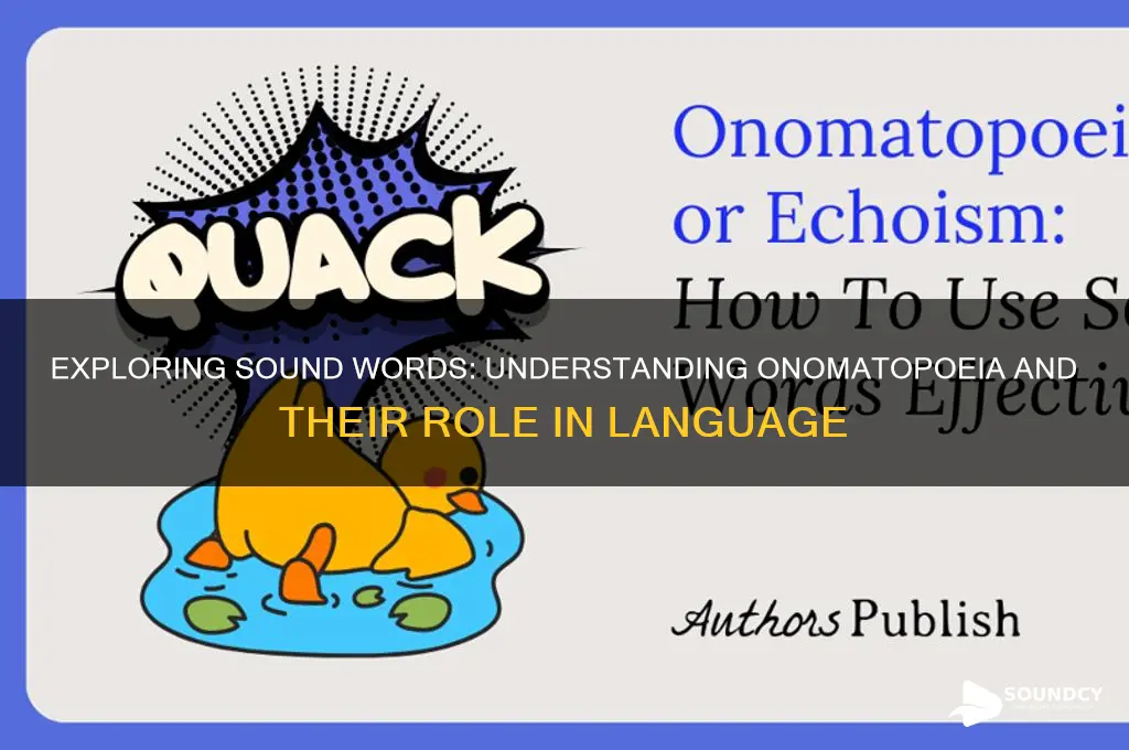 what is a sound word